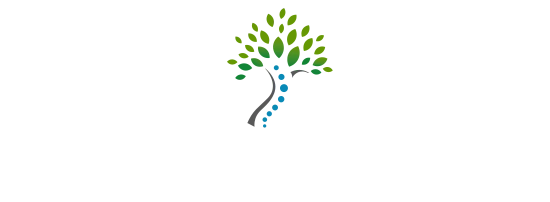 Chiropractic Chalfont PA Highpoint Health Specialties